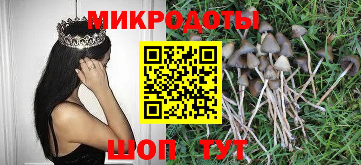 Троицк  Галлюциногенные грибы GOLDEN TEACHER  Вход с VPN  Псилоцибиновые грибы GOLDEN TEACHER 